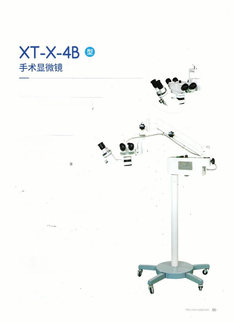 XT-X-4Bg@΢R